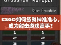 CSGO如何練就神準(zhǔn)準(zhǔn)心，成為射擊游戲高手？