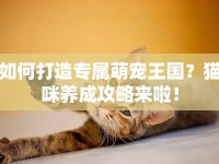 如何打造專屬萌寵王國？貓咪養(yǎng)成攻略來啦！