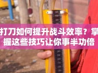 打刀如何提升戰(zhàn)斗效率？掌握這些技巧讓你事半功倍！