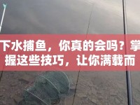 下水捕魚，你真的會嗎？掌握這些技巧，讓你滿載而歸！
