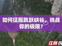 如何征服跳躍峽谷，挑戰(zhàn)你的極限？