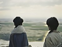 神武手游化生寺特技，如何玩轉(zhuǎn)策略與智慧的碰撞？