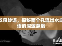 雙泉妙語，探秘兩個(gè)孔流出水成語的深邃意境