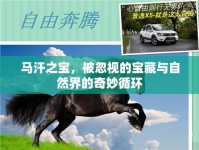 馬汗之寶，被忽視的寶藏與自然界的奇妙循環(huán)