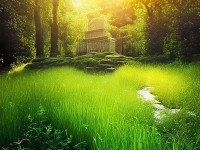 9731芳草地：你了解這片神秘綠地的秘密嗎？它為何如此引人入勝？