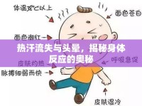 熱汗流失與頭暈，揭秘身體反應(yīng)的奧秘