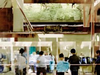 問道手游直播到底在哪看？，直接以疑問句形式抓住用戶的核心問題，到底一詞增強(qiáng)了探尋感，簡潔有力且精準(zhǔn)匹配搜索意圖）