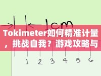Tokimeter如何精準(zhǔn)計量，挑戰(zhàn)自我？游戲攻略與玩法全解析！