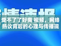 受不了了好爽 視頻，網(wǎng)絡(luò)熱議背后的心理與傳播現(xiàn)象