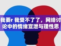我要r 我受不了了，網(wǎng)絡(luò)討論中的情緒宣泄與理性思考