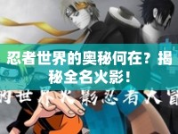 忍者世界的奧秘何在？揭秘全名火影！