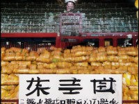 小巴風(fēng)特為何成為RO手游人氣反派？萌系外表下藏著怎樣的冒險(xiǎn)故事？