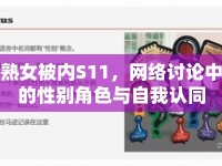 熟女被內(nèi)S11，網(wǎng)絡(luò)討論中的性別角色與自我認(rèn)同