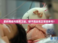 愛的奇跡與自然之謎，精子流出是正?，F(xiàn)象嗎？