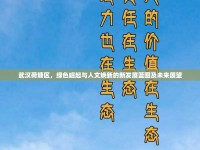 武漢荷塘區(qū)，綠色崛起與人文煥新的新發(fā)展藍圖及未來展望