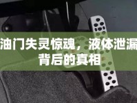 油門失靈驚魂，液體泄漏背后的真相
