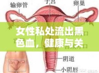 女性私處流出黑色血，健康與關(guān)懷的深度解析