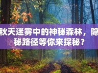 秋天迷霧中的神秘森林，隱秘路徑等你來探秘？