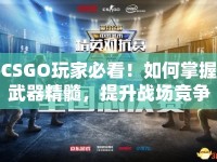 CSGO玩家必看！如何掌握武器精髓，提升戰(zhàn)場(chǎng)競(jìng)爭(zhēng)力？