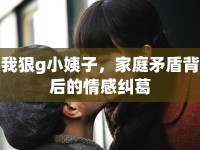 我狠g小姨子，家庭矛盾背后的情感糾葛