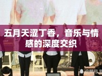 五月天澀丁香，音樂與情感的深度交織
