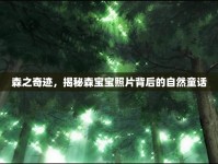 森之奇跡，揭秘森寶寶照片背后的自然童話