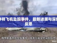 鐘祥飛機(jī)墜毀事件，最新進(jìn)展與深刻反思