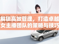 解鎖高效管理，打造卓越女主播團(tuán)隊(duì)的策略與技巧