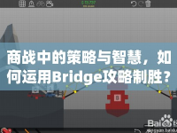 商戰(zhàn)中的策略與智慧，如何運用Bridge攻略制勝？