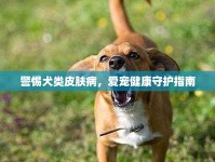 警惕犬類皮膚病，愛寵健康守護(hù)指南