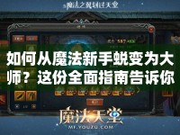 如何從魔法新手蛻變?yōu)榇髱?？這份全面指南告訴你！
