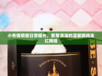 小布偶萌寵日常曝光，愛意滿溢的溫馨瞬間走紅網(wǎng)絡(luò)
