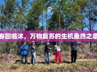 春回臨沭，萬物復(fù)蘇的生機(jī)盎然之章