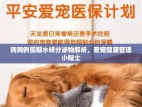 狗狗例假期水樣分泌物解析，愛寵健康管理小貼士