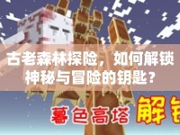 古老森林探險，如何解鎖神秘與冒險的鑰匙？
