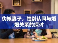 偽娘妻子，性別認同與婚姻關系的探討