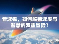 音速狐，如何解鎖速度與智慧的雙重冒險(xiǎn)？