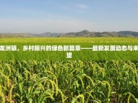 大荔龍洲鎮(zhèn)，鄉(xiāng)村振興的綠色新篇章——最新發(fā)展動態(tài)與未來展望