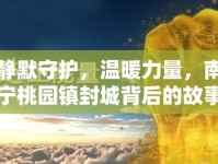 靜默守護，溫暖力量，南寧桃園鎮(zhèn)封城背后的故事