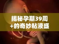 揭秘孕期39周+的奇妙粘液盛宴，迎接最后的奇妙旅程