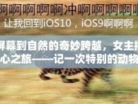 從屏幕到自然的奇妙跨越，女主播的愛心之旅——記一次特別的動物領(lǐng)養(yǎng)直播
