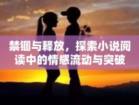 禁錮與釋放，探索小說閱讀中的情感流動(dòng)與突破
