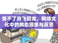 受不了雙飛巨龍，網(wǎng)絡(luò)文化中的病態(tài)現(xiàn)象與反思