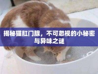 揭秘貓肛門腺，不可忽視的小秘密與異味之謎
