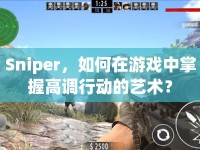 Sniper，如何在游戲中掌握高調(diào)行動的藝術(shù)？