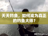 天天釣魚，如何成為真正的釣魚大師？