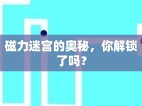 磁力迷宮的奧秘，你解鎖了嗎？