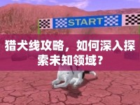 獵犬線攻略，如何深入探索未知領(lǐng)域？