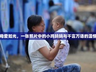母愛如光，一張照片中的小雞媽媽與千言萬語的溫情