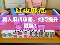 真人麻將攻略，如何提升勝算？